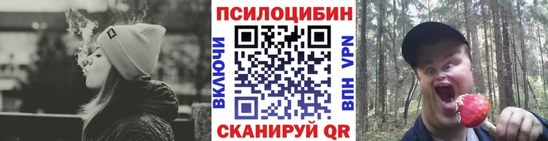 Псилоцибиновые грибы ЛСД  продажа наркотиков  Куйбышев 